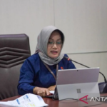 5.32 BPS Catat Nilai Ekspor di Sultra naik 317,87 Juta Dolar Agustus 2024