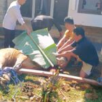 pemotongan hewan kurban